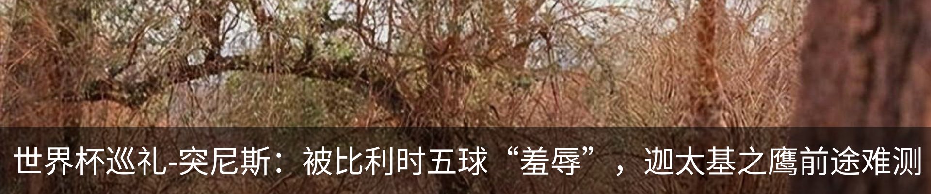 内页banner